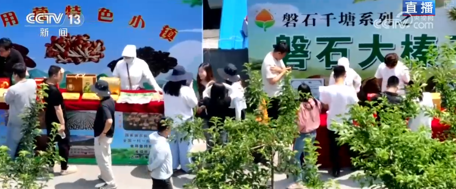 【牢记初心使命奋进复兴征程】昔日红色战场蝶变产业兴、生态美、百姓富的振兴热土(图6)