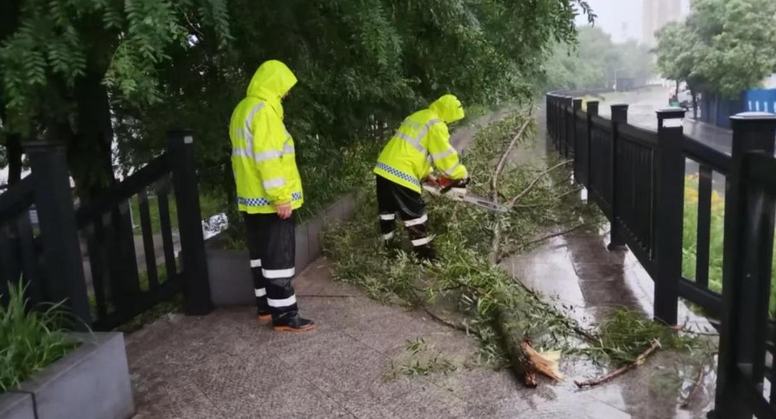 防汛人员冒雨清理倒伏树木，及时清障保道路畅通