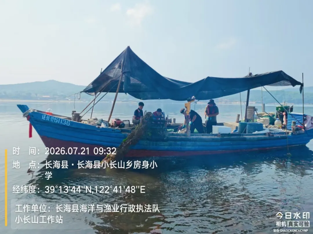 守护近海海洋生态!大连开展伏季休渔执法“清网”专项行动(图5)