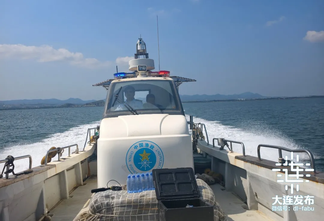 守护近海海洋生态!大连开展伏季休渔执法“清网”专项行动(图3)
