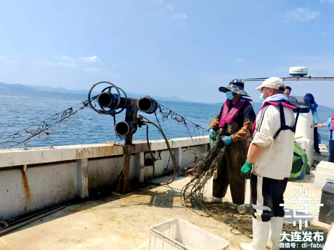 守护近海海洋生态!大连开展伏季休渔执法“清网”专项行动(图4)