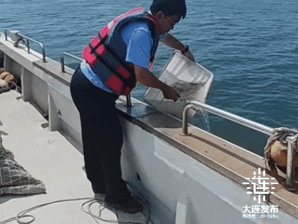 守护近海海洋生态!大连开展伏季休渔执法“清网”专项行动(图2)