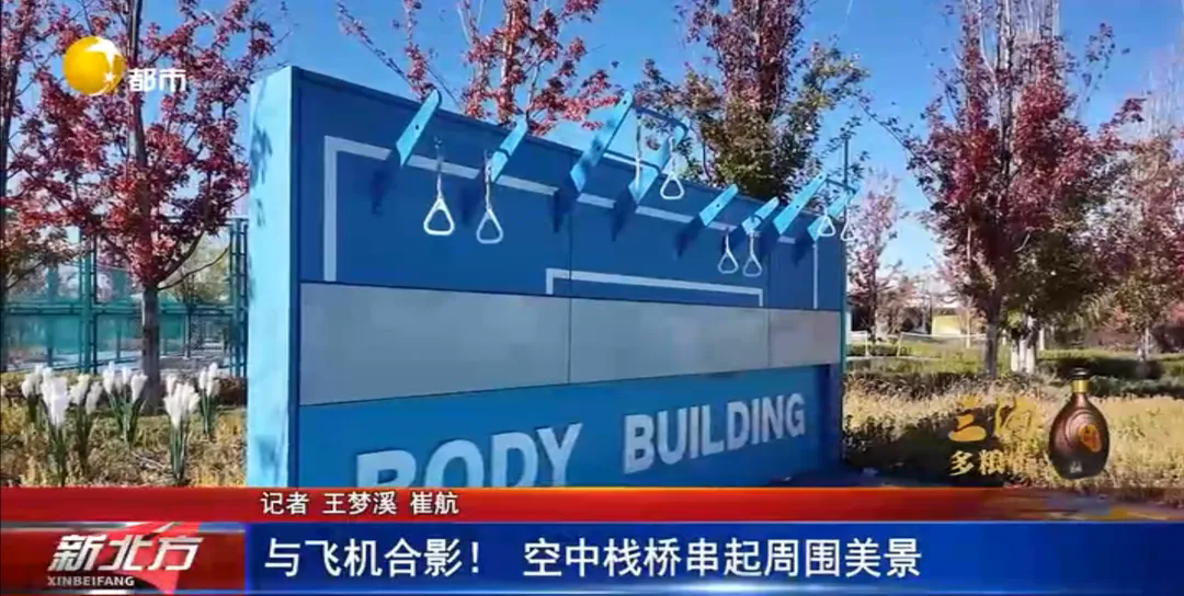 能看飞机起飞的空中栈桥！沈阳这个公园火了(图7)